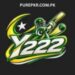Y222 Game